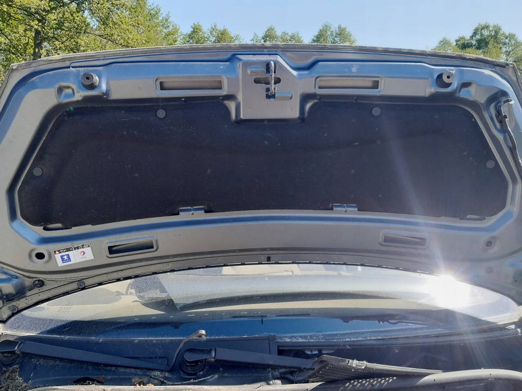 фото №4, Капот петлі підкрилок peugeot 1007 стан bdb