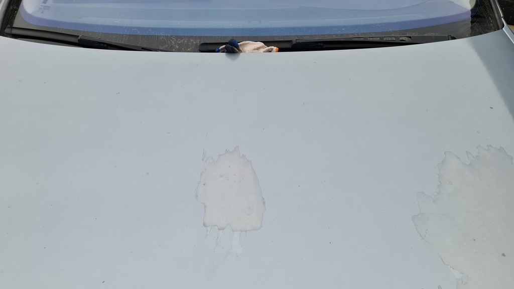 фото №6, Капот крышка двигателя audi a6 c6 ly7h lubelskie