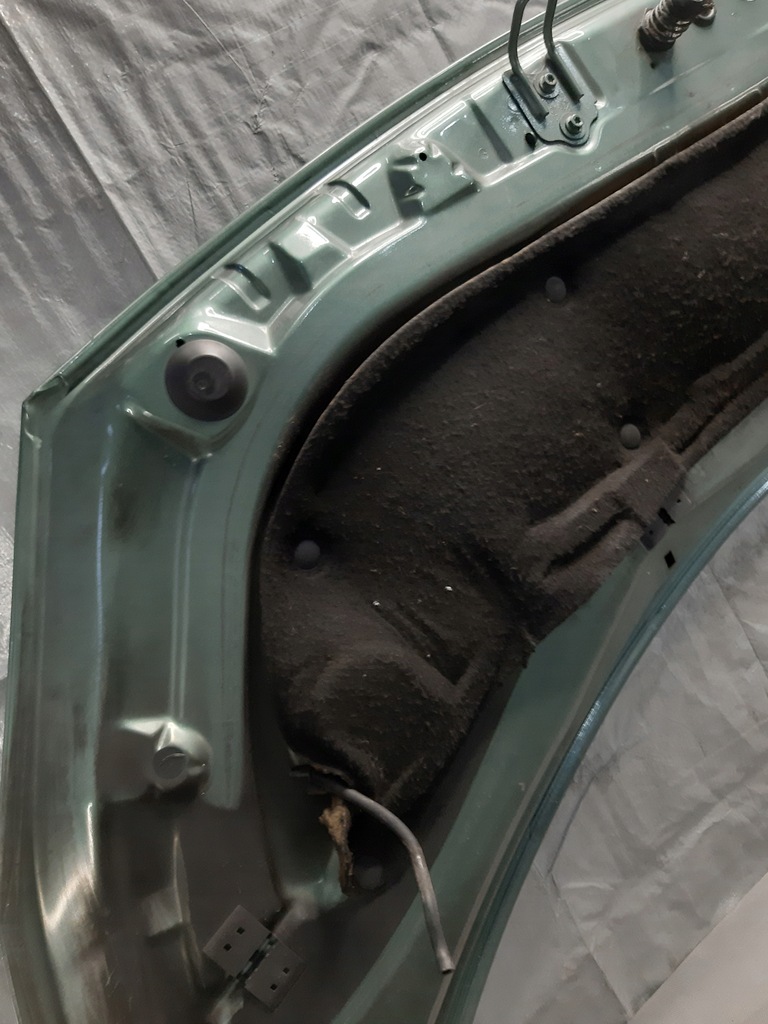 фото №11, Капот renault scenic ii 2 ted97