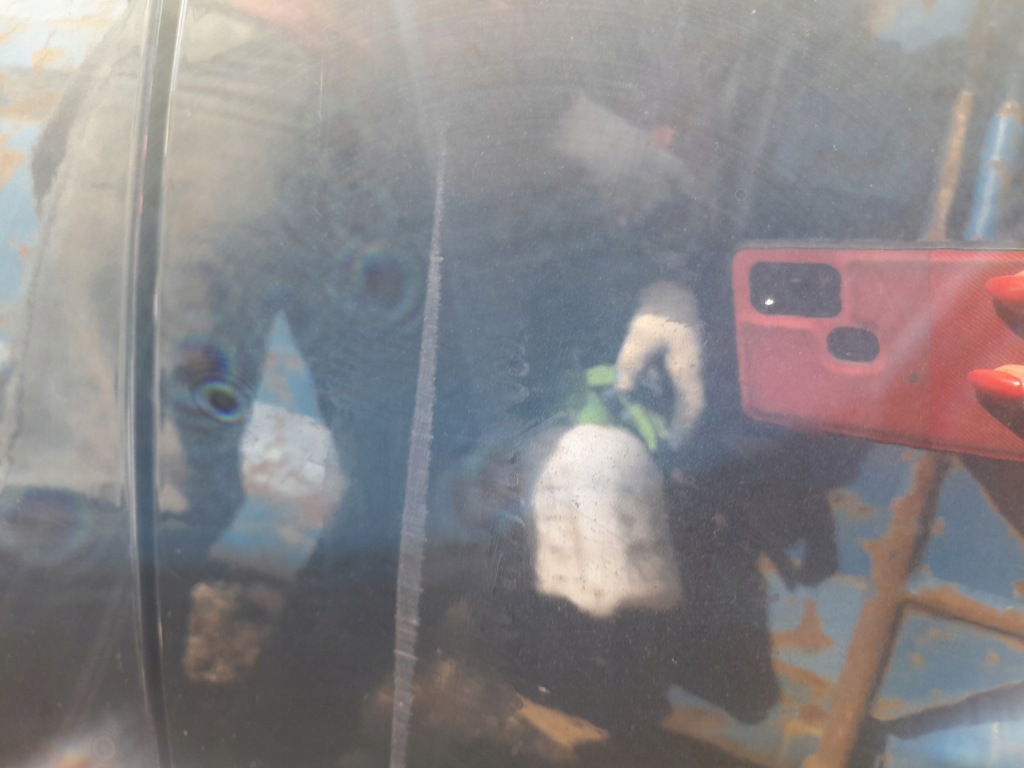 фото №5, Renault laguna ii двері лівий перед ліва teb66