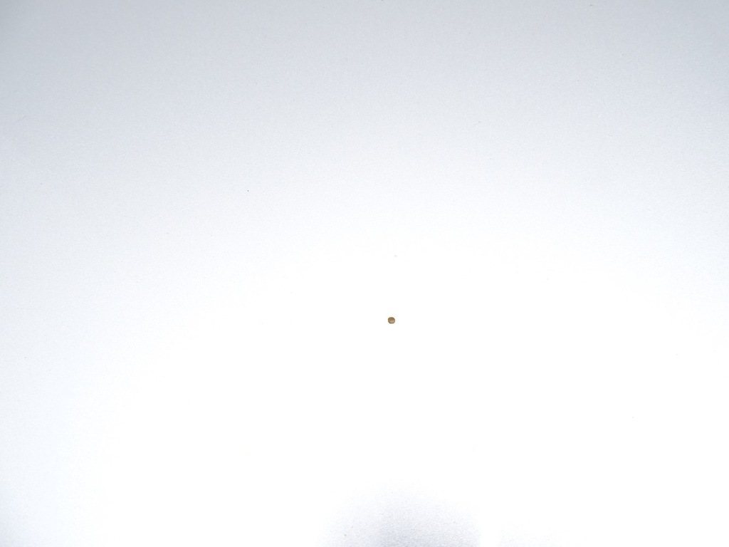 фото №7, Капот крышка двигателя audi a5 8t b8 3d coupe lx7w