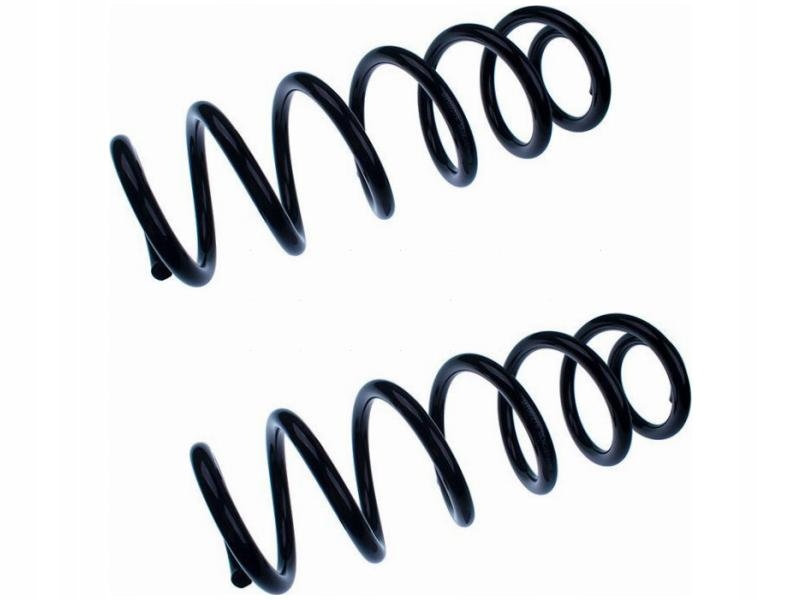 Купити Пружини задній denckermann d700276