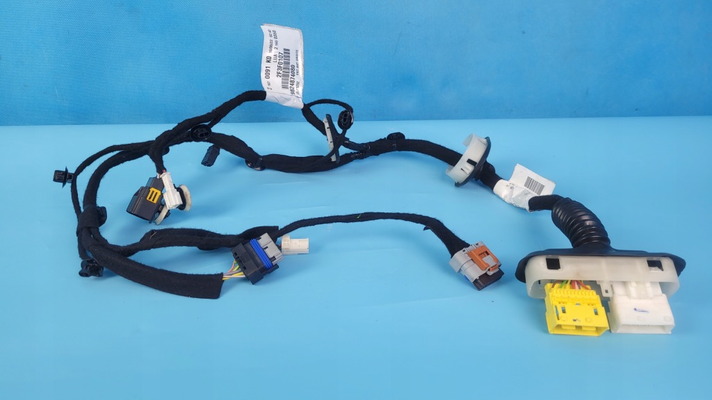 фото №1, Fiat scudo iii 22r джгут двері правий перед 9824874080