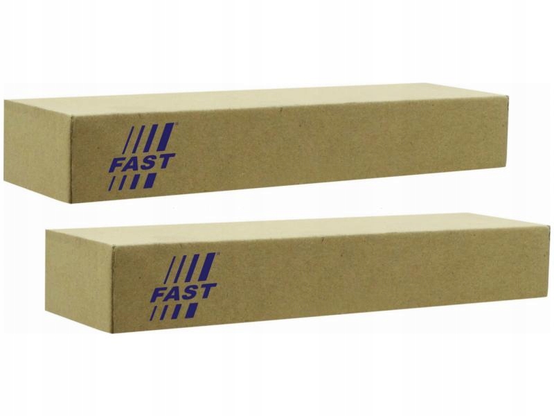 фото №1, Амортизатори задня fast ft11175