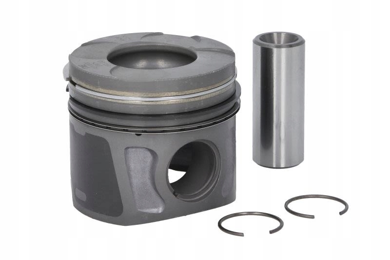 фото №1, Поршень 69,6 ne 130020000700