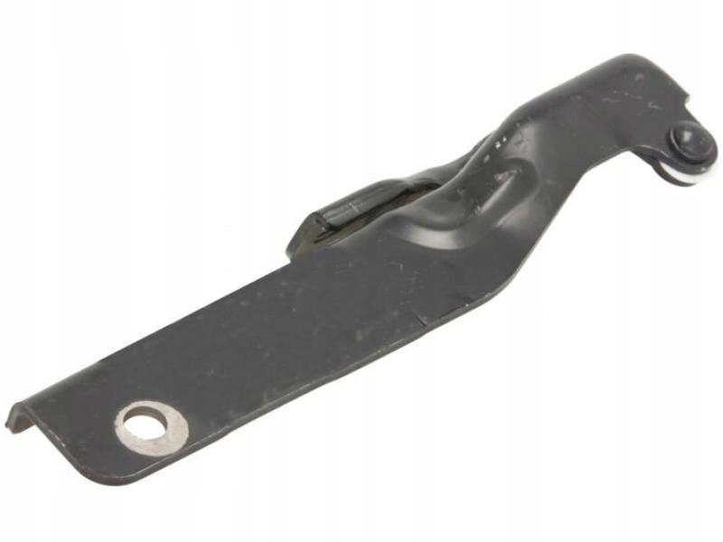 фото №1, Blic 6802-00-2042452p петля, кришка відсік двигуна