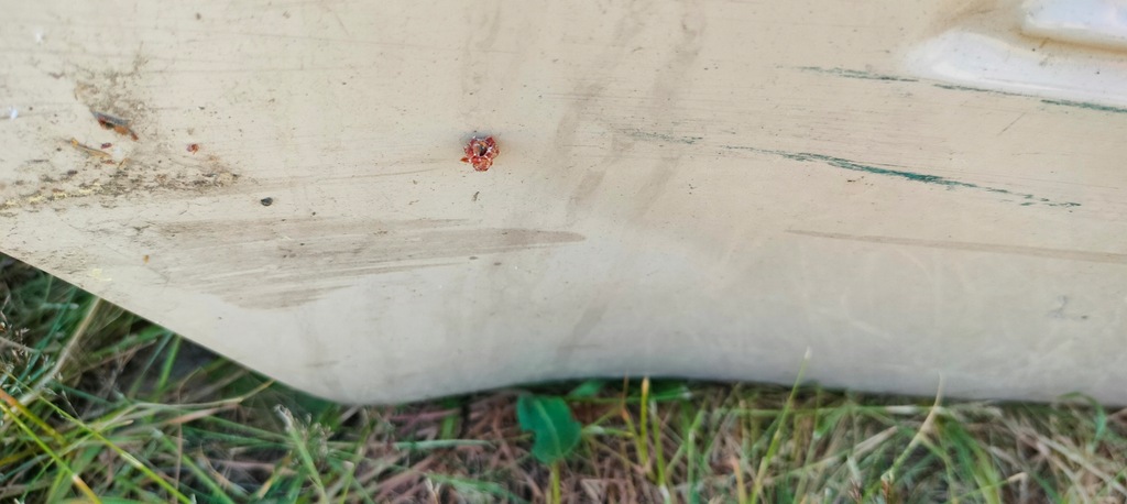 фото №8, Двері правий задня kia soul i колір a1