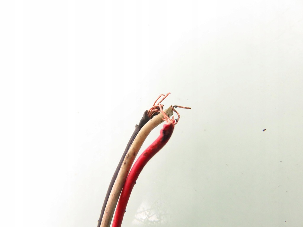 фото №5, Перемикач lpg