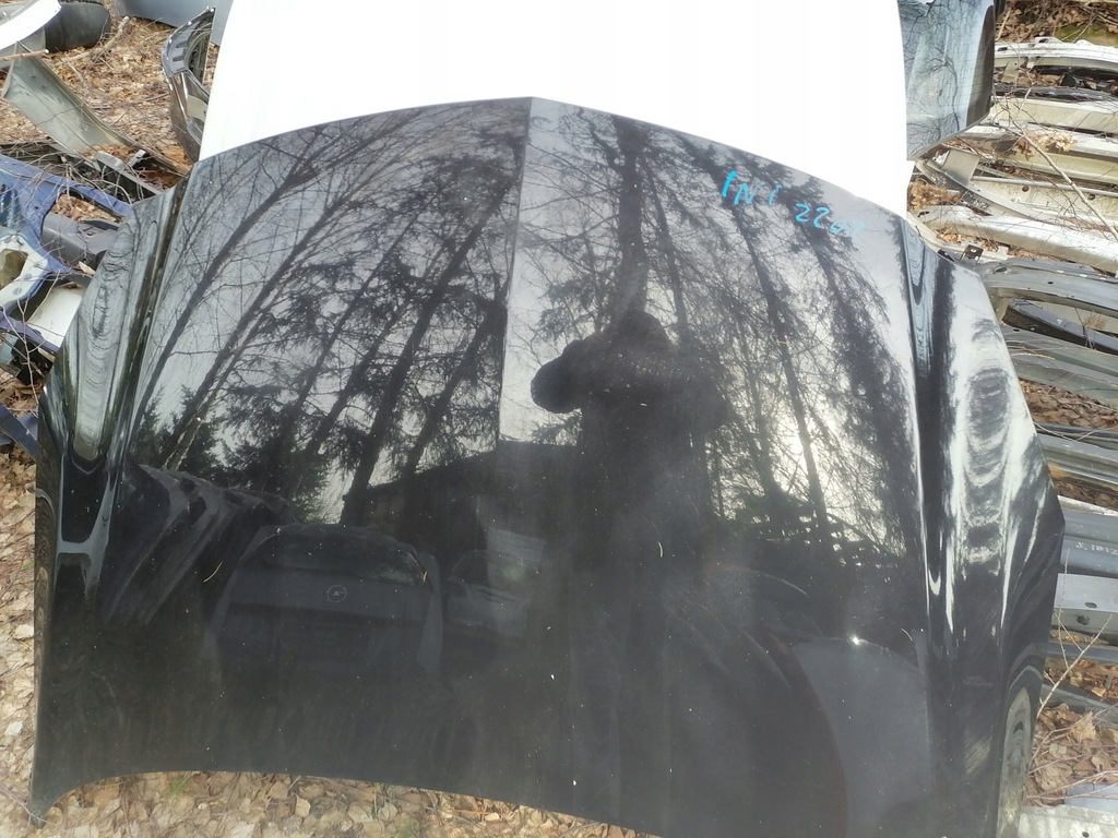 фото №13, Капот opel insignia z20r