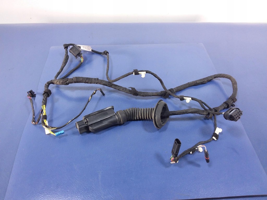 фото №1, Bmw x6 f16 f86 джгут двері лівий задня 9365829