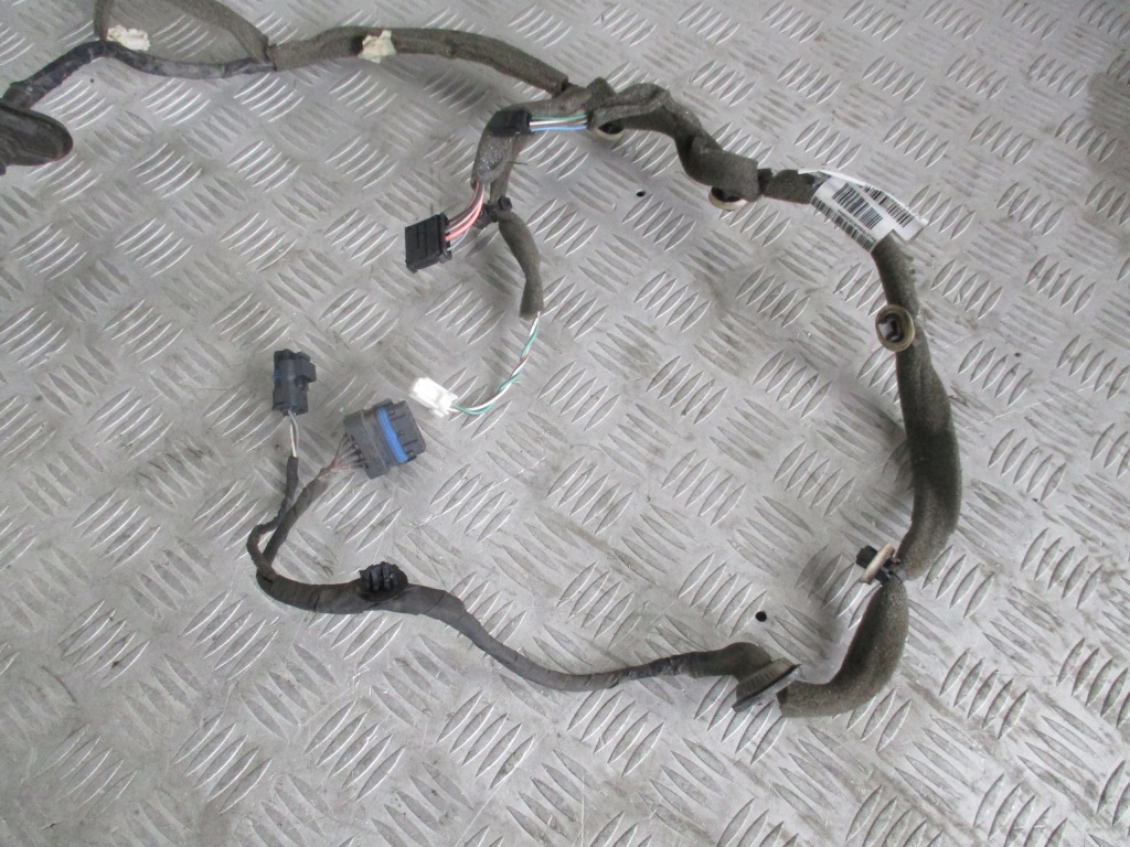 фото №4, Жгут дверь левый задняя renault scenic iii 09-16r 241275964