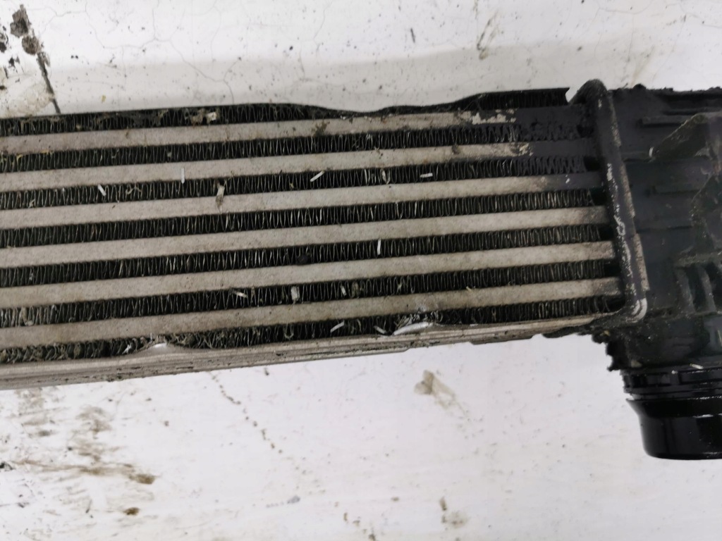 Интеркулер renault scenic 3 1.2 tce 144963639r Киев