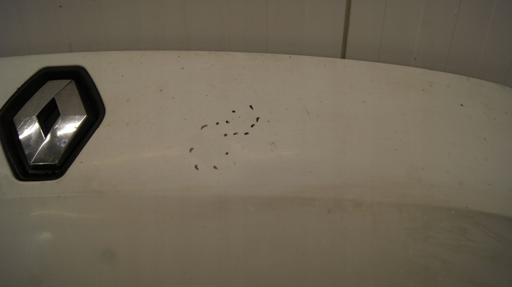 Капот renault master 3 389 Оригінал