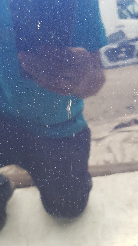 фото №11, Капот mazda 6 gj 35j