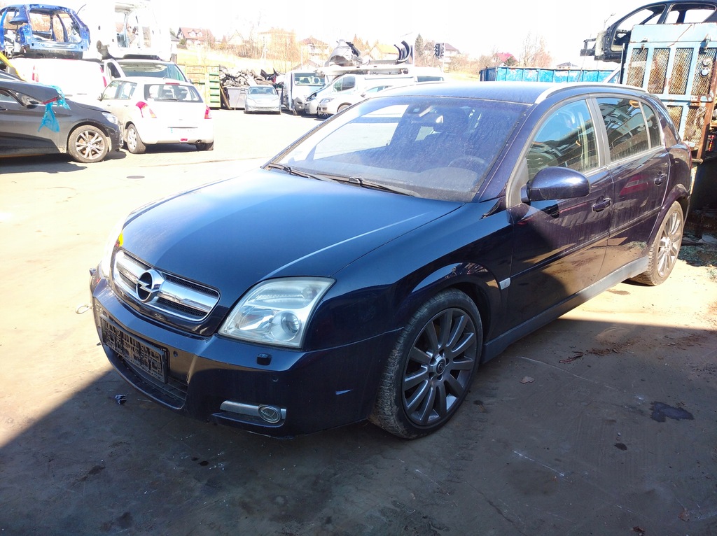 фото №12, Vectra c signum двері ліва перед передні z21a