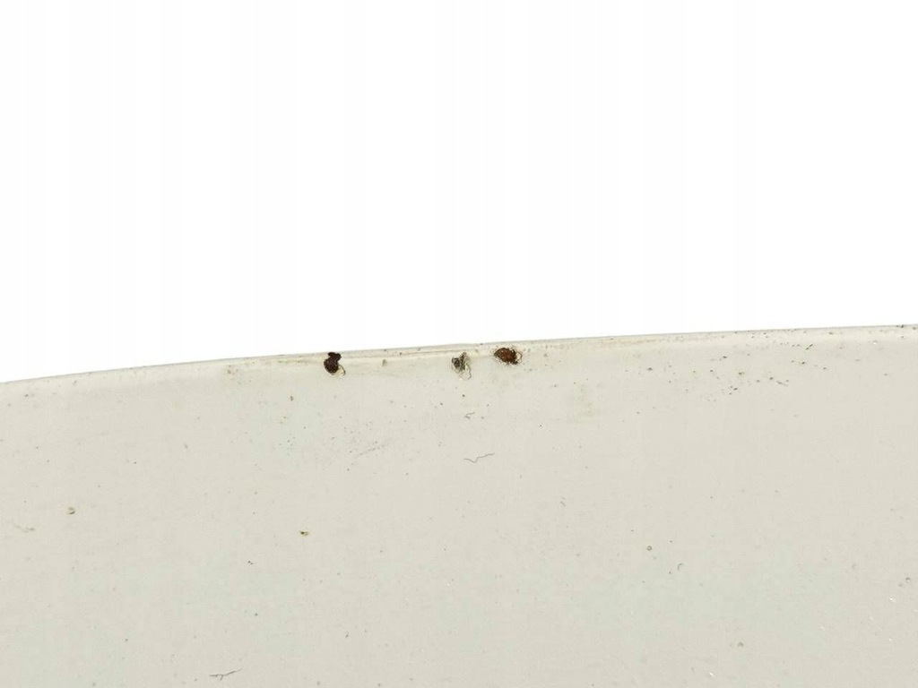 фото №5, Капот renault megane iv