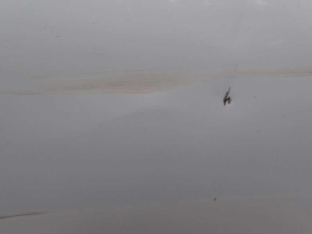 фото №5, Дверь правое передние правый перед seat leon iv 5fa