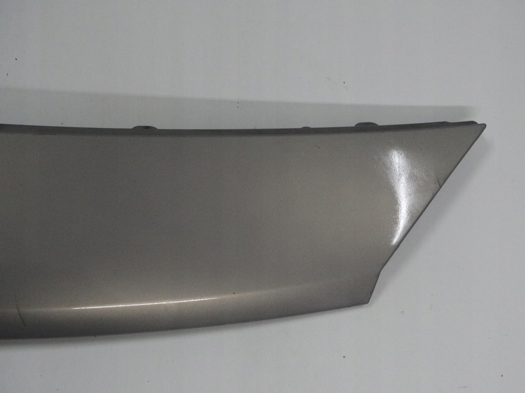 фото №3, Защита перед renault scenic ii