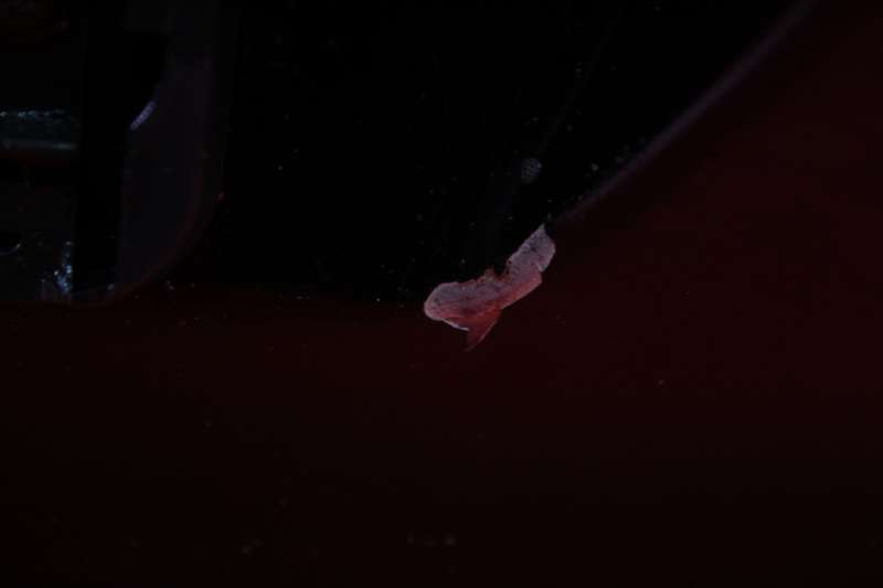 фото №9, Бампер задняя задний чёрный pdc mitsubishi lancer 7 vii kombi 03-11