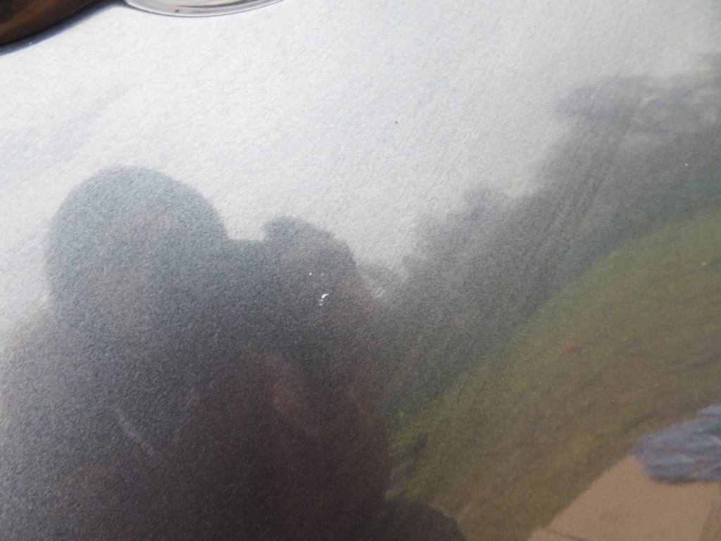 фото №5, Двері лівий задня renault grand scenic iii 09-13r