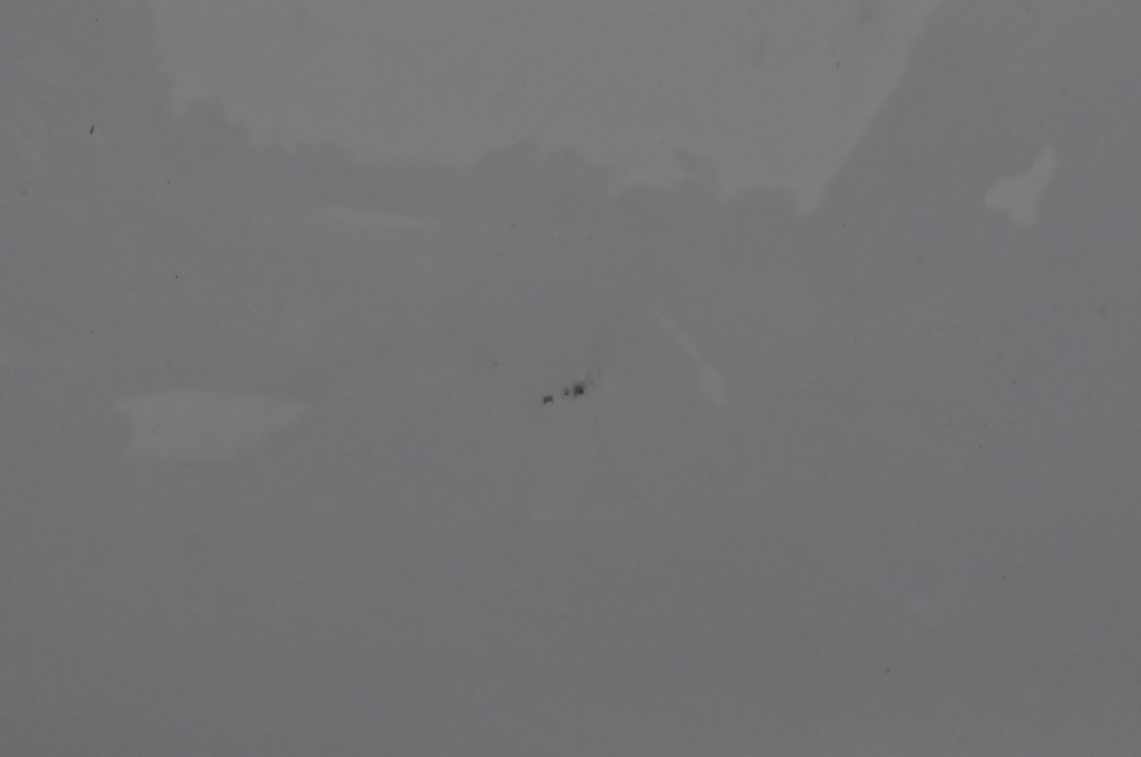 фото №11, Volvo s60 ii v60 lift капот кришка відсік двигуна