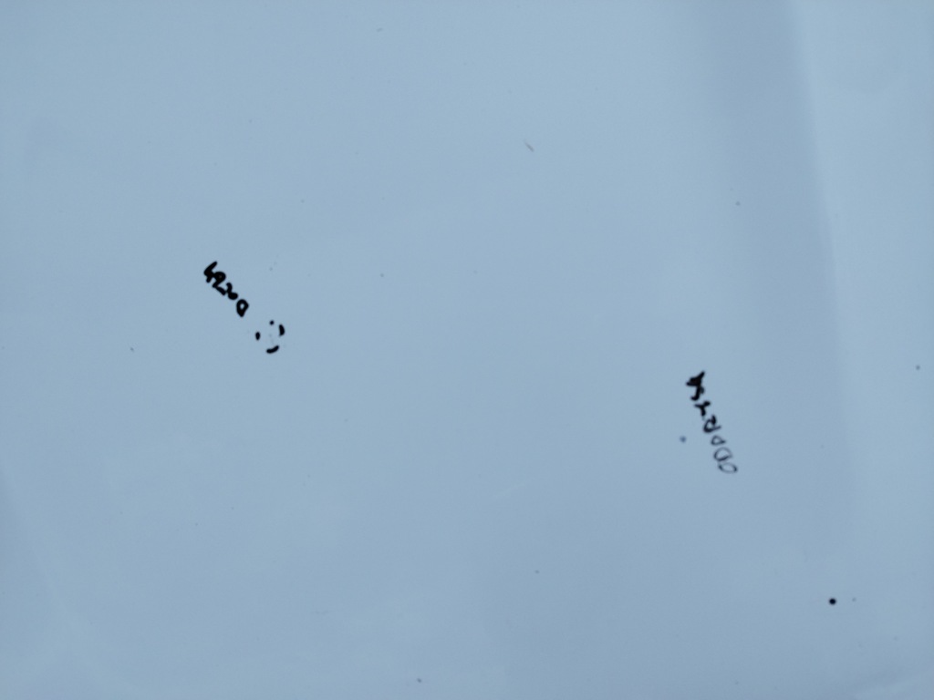 фото №6, Капот nissan qashqai i j10 +2 lift 2010-2013 цвет 326 g оригинал лак