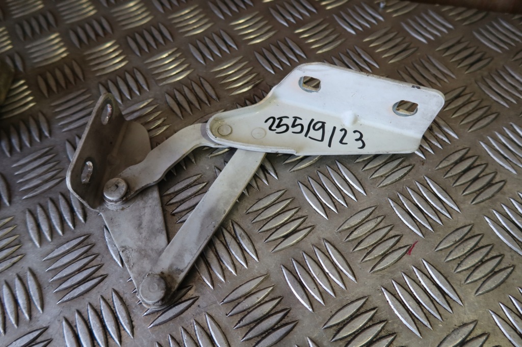 фото №7, Петля капот правий лівий iveco daily комплект