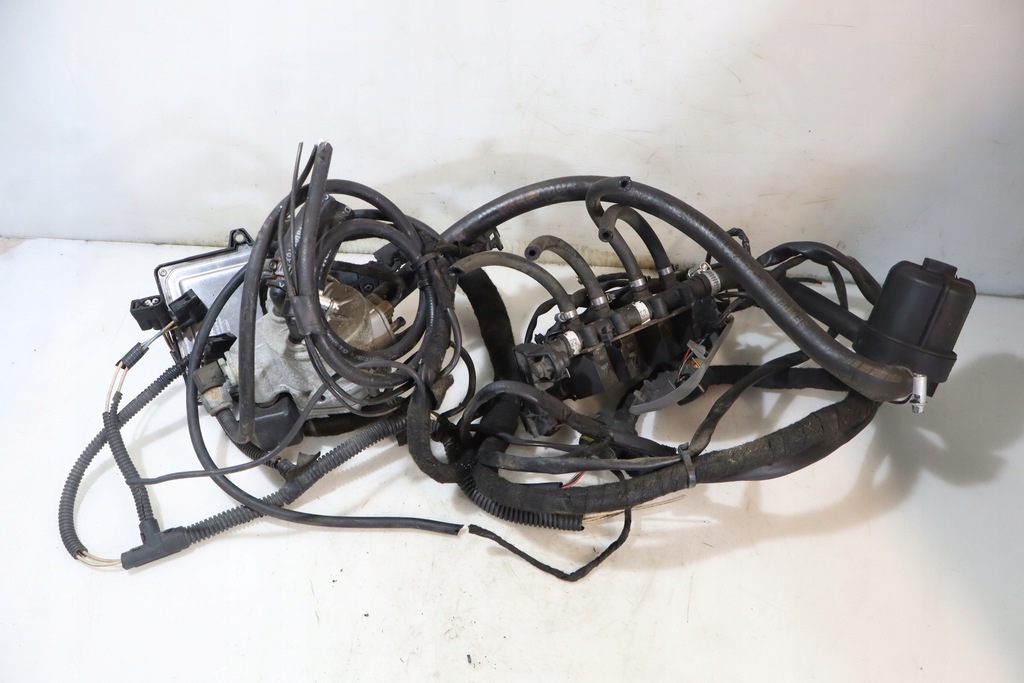 фото №1, Электропроводка lpg renault laguna ii 1.6