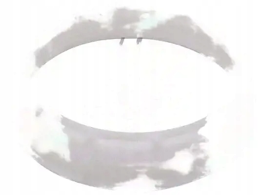 фото №1, Прокладка датчика уровня топлива ft94642 fast