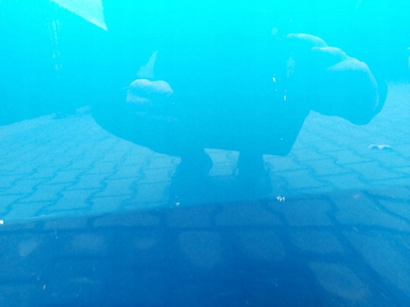 фото №8, Kia sportage 3 iii дверь левый задняя левая задние 5b