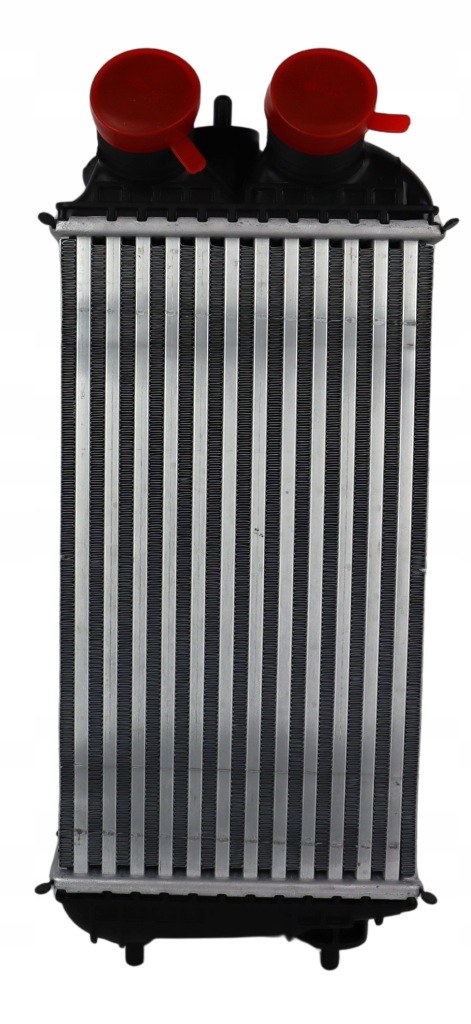 фото №1, Интеркулер fiat grande panda 2024 -