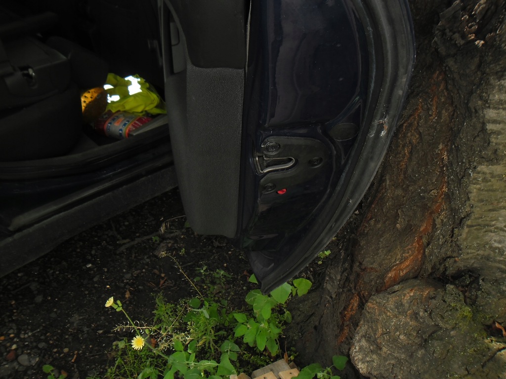 фото №1, Двері правий задня opel vectra c lift z20z