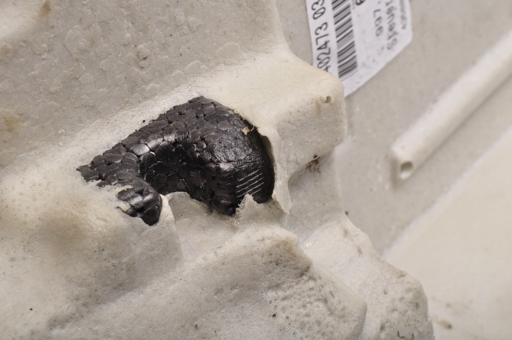 фото №9, Porsche 911 997 обшивка обивка задняя 99755103300