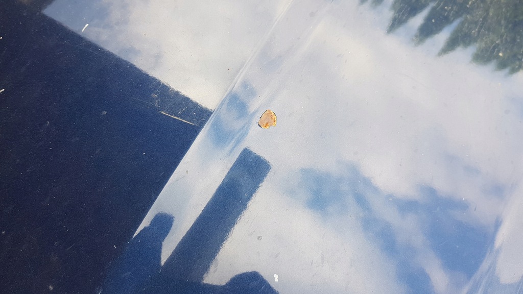 фото №4, Капот mazda tribute i