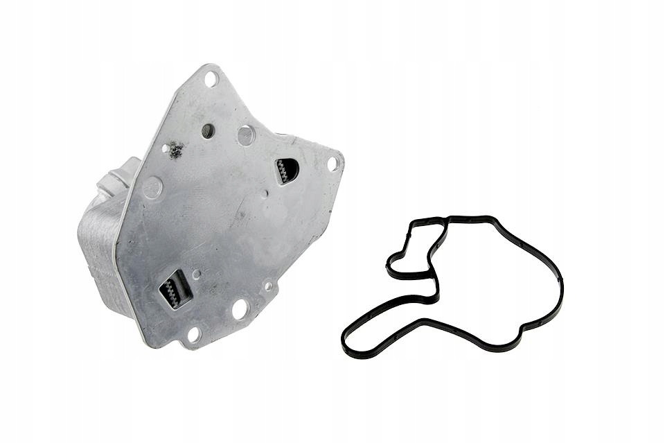 Радіатор оливи fiat bravo 2.0jtd 2008- Недорого