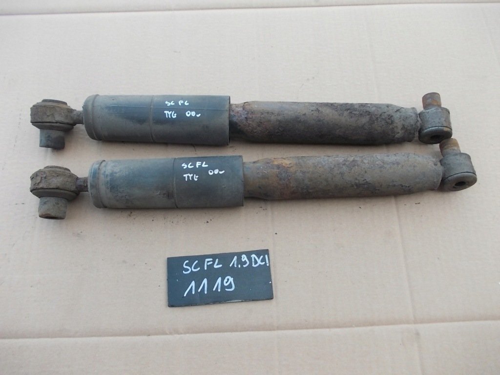 фото №1, Амортизаторы задние renault scenic 1