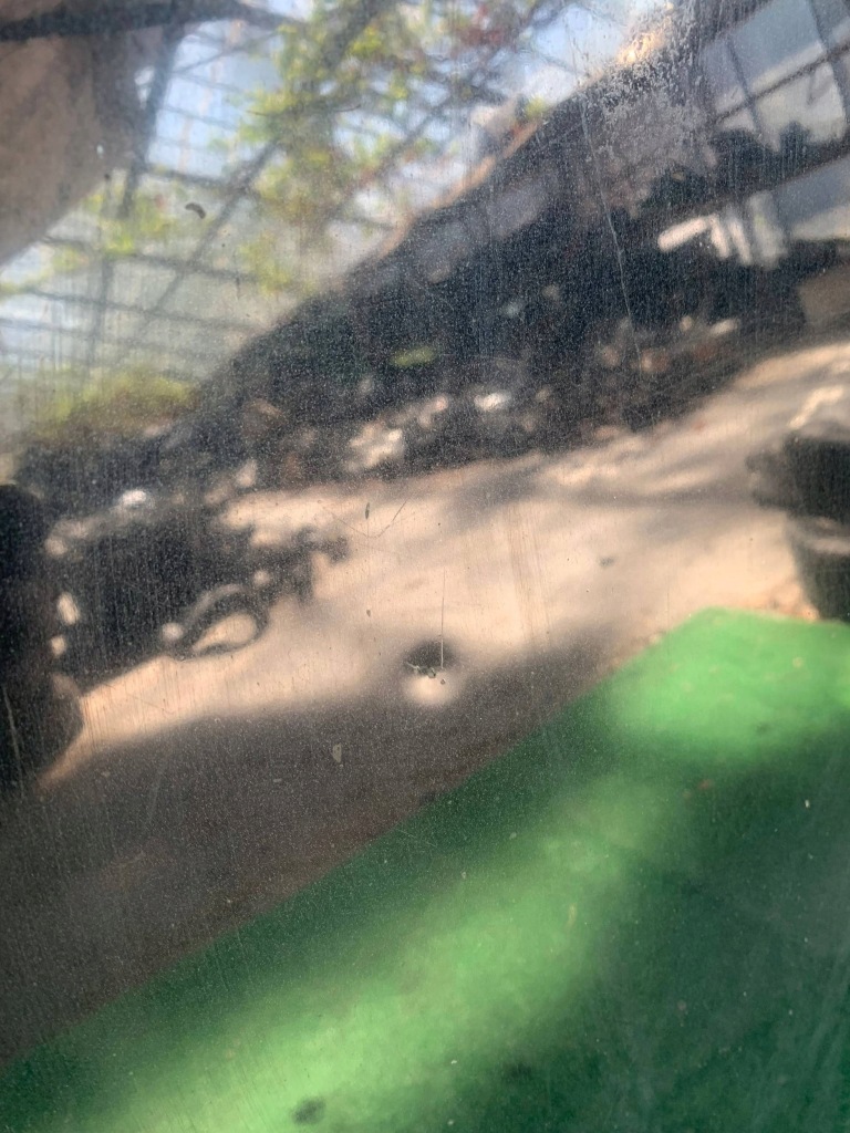 Крышка передняя капот двигателя mitsubishi carisma рестайлинг  wwa Цена