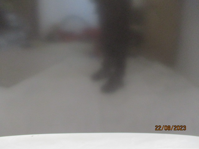 фото №6, Peugeot 508 ii капот крышка двигателя nowa