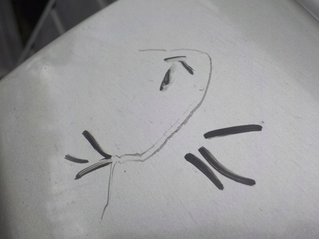 Двері праве задній mercedes w124 Зі Шроту