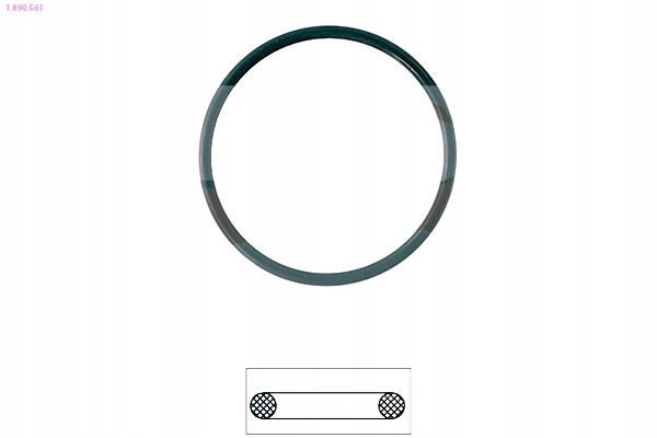 фото №1, Eps 1.890.561 прокладка, термостат