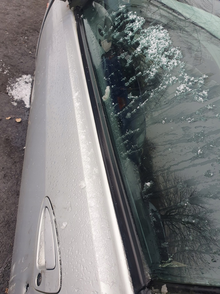 фото №8, Емблема значок з задній кришки ford cougar 98 -2002