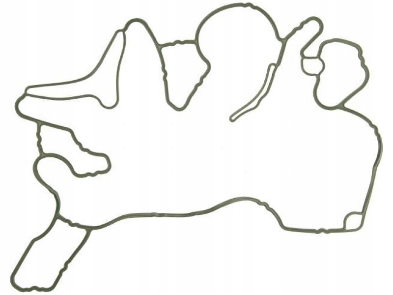 фото №2, Elring 444.900 прокладка, привід розподільного валу