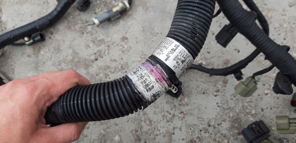 фото №6, Джгут двигуна 5.4 ford f150 f 150 електропроводка 06r