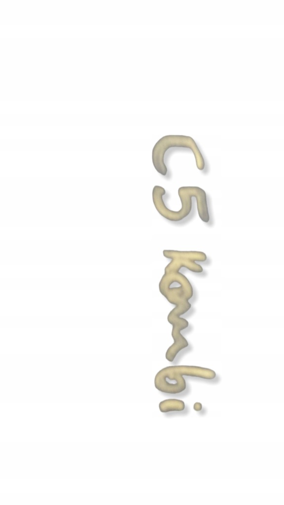 Шторка багажника задний  citroen c5 Оригинал