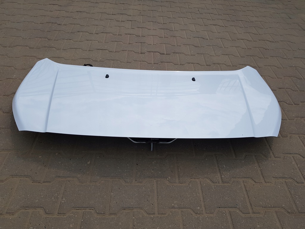 фото №5, Ford transit connect mk2 2013- капот