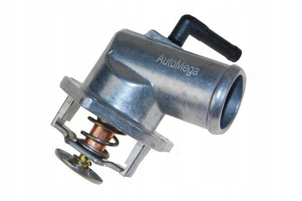 фото №10, Automega термостат w корпус