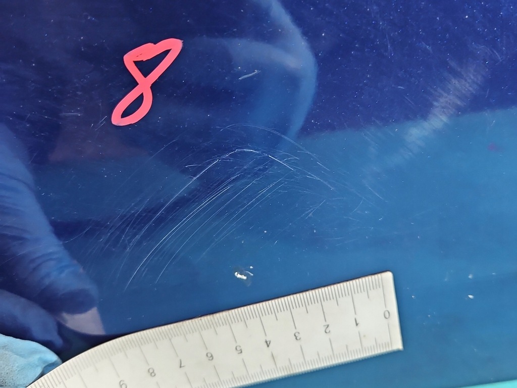 фото №10, Двері скло задня ліва орні кватиркове fiat doblo ii 2 granatowy 487