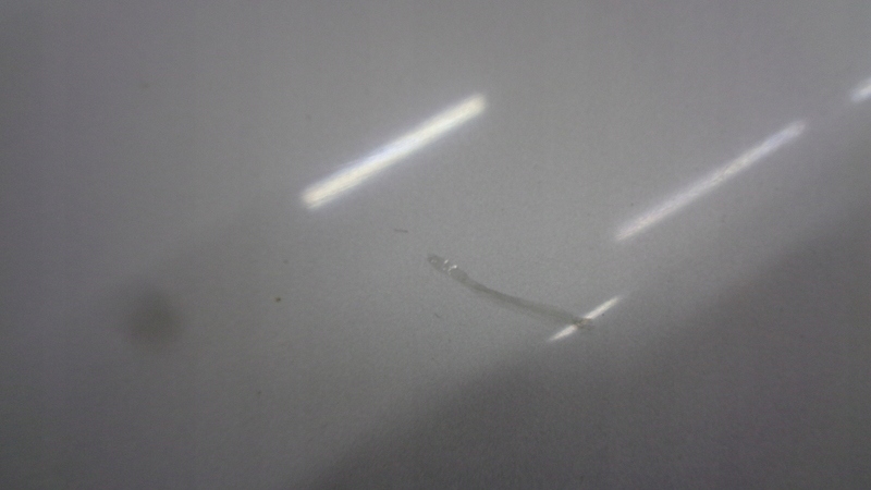 фото №7, Капот крышка двигателя 1g1 lexus ii is 220 05-12r