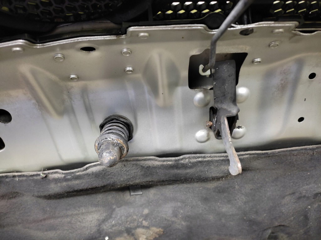 фото №12, Opel signum капот кришка двигуна лак z157