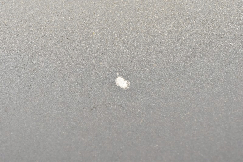 фото №8, Капот кришка двигуна срібляста audi a6 c6 04-11